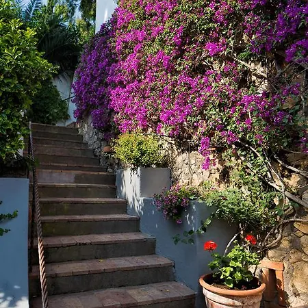 Solaria Apartment Capri